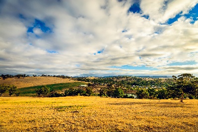 Landscape of grassy fields and trees.