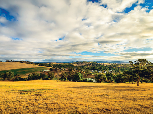 A photo of some land