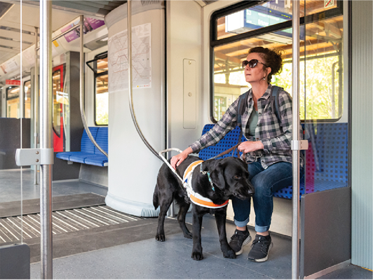 A person with a guide dog using the train.