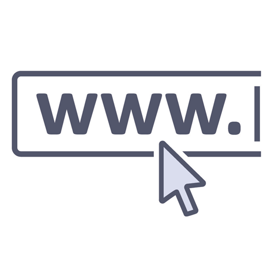 A website address icon. The letters www and a mouse pointer.